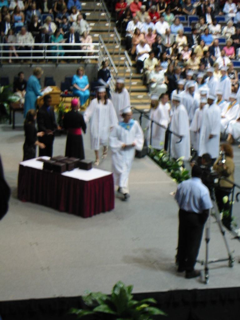 * Image 7