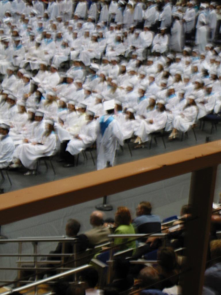 * Image 13