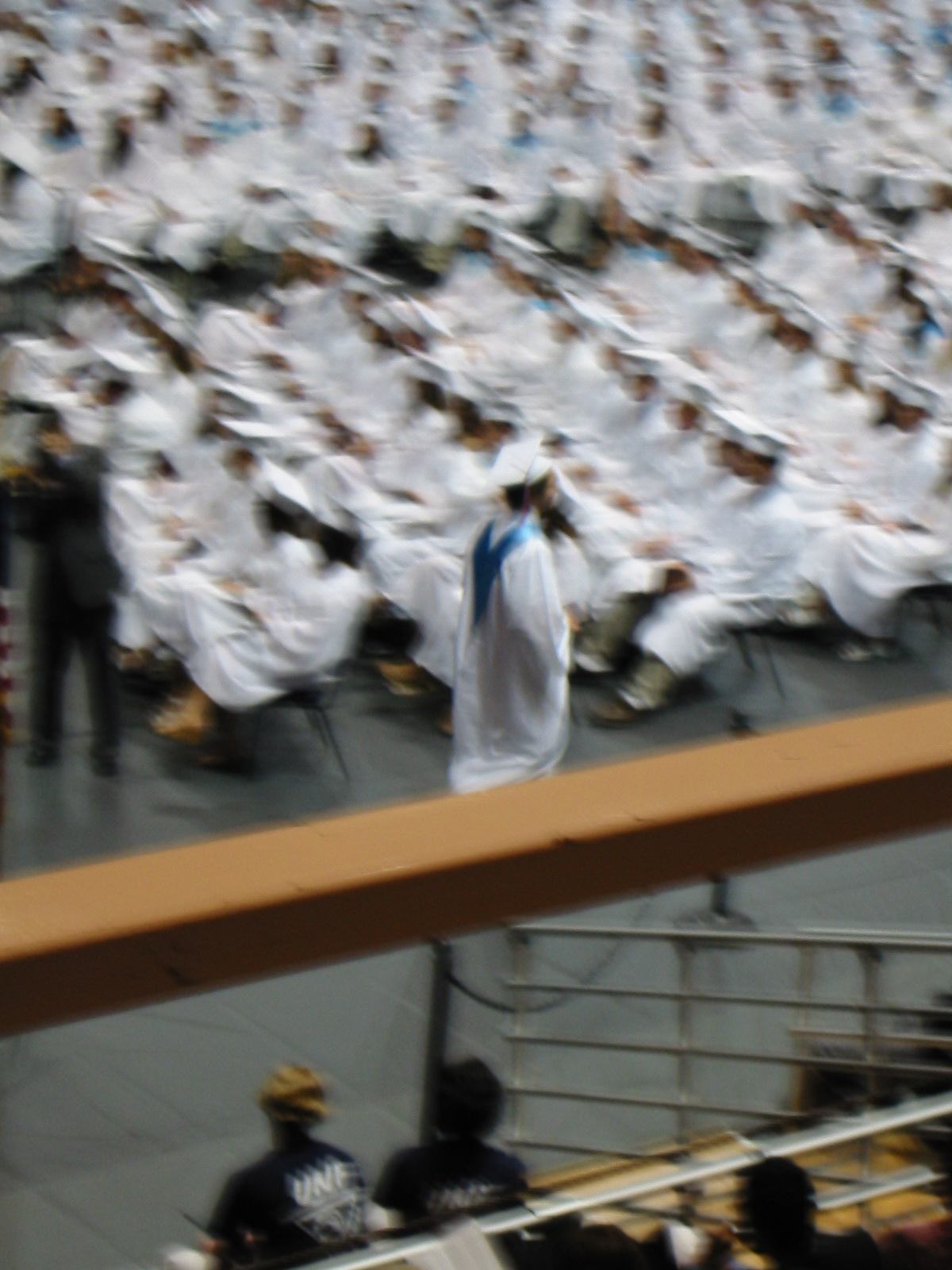 * Image 12