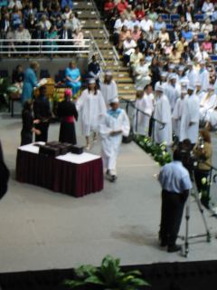* Image 7