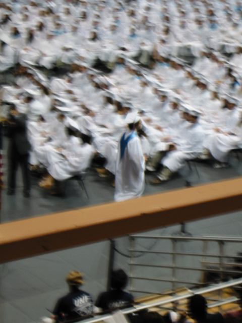 * Image 12