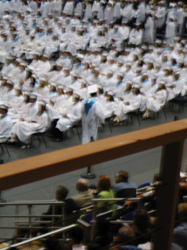 * Image 13