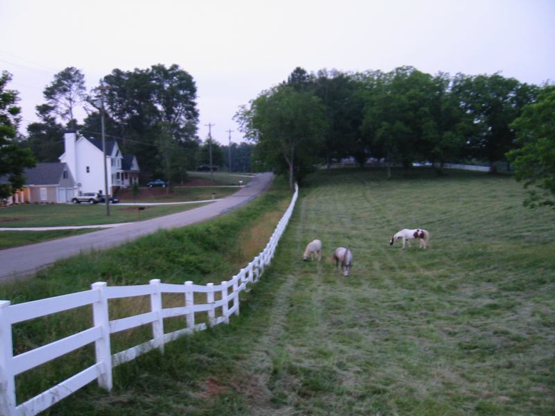 * Image 1