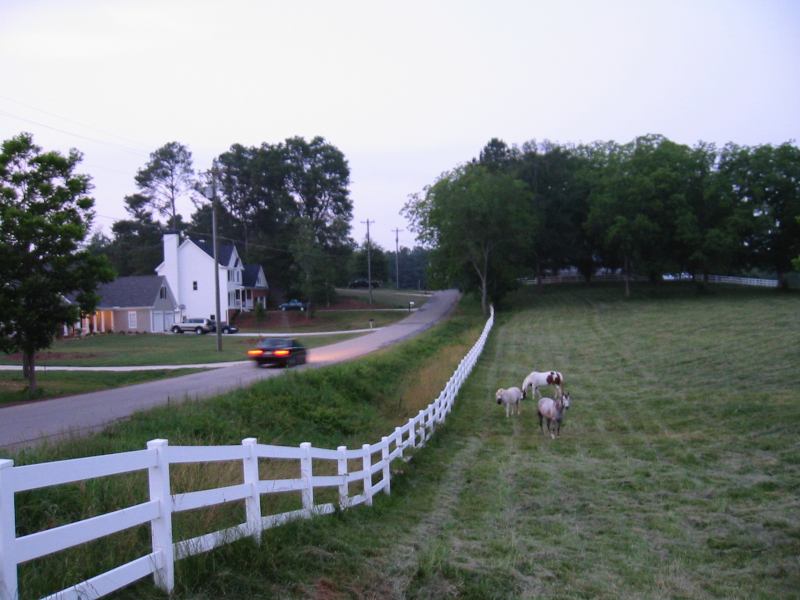 * Image 3