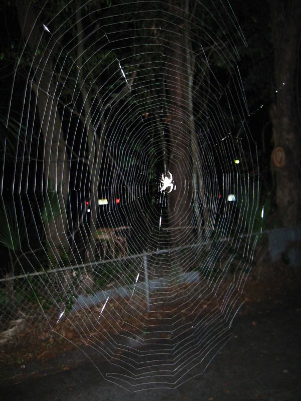 * Image 6