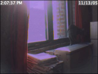 pete's office