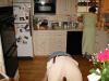 IMG_0064.JPG - 2002:04:14 17:07:14