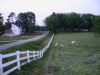 IMG_0002.JPG - 2002:06:07 21:01:10