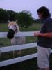 IMG_0007.JPG - 2002:06:07 21:04:22