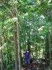 IMG_0039.JPG - 2002:06:09 14:29:50