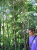 IMG_0040.JPG - 2002:06:09 14:30:01