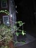 IMG_0069.JPG - 2002:06:15 23:22:48