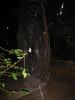 IMG_0070.JPG - 2002:06:15 23:23:00