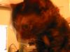 Roll 50 - 13.jpg - 2002:10:22 21:39:56