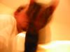 Roll 50 - 24.jpg - 2002:10:22 21:41:23