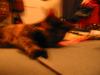 Roll 50 - 33.jpg - 2002:10:22 21:47:07