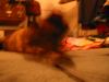 Roll 50 - 34.jpg - 2002:10:22 21:47:13