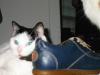 Roll 50 - 4.jpg - 2002:10:22 08:18:45