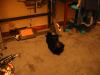 Roll 50 - 5.jpg - 2002:10:22 21:37:32