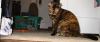 look at mee.jpg - 2002:12:31 22:48:28