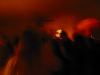 midnight 3.jpg - 2002:12:31 23:57:43