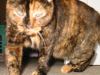 no more pictures.jpg - 2002:12:31 22:48:38