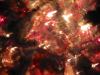 ornament 2.jpg - 2003:01:01 00:41:42