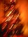 tree 1.jpg - 2003:01:01 00:39:55
