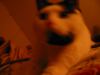 meatloaf watches.jpg - 2003:02:20 21:45:57
