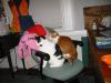 dammnit you interrupted our session.jpg - 2003:01:03 17:38:29