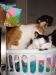 dirty head 2.jpg - 2003:01:03 23:47:02