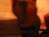 spin me round baby.jpg - 2003:01:31 21:09:12