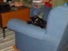 stalking the wild carpet.jpg - 2003:02:03 21:59:17