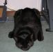 girl has no worries.jpg - 2003:01:16 21:31:14