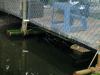crab shack - alligators 2.jpg - 2003:06:08 18:17:00