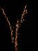 19.jpg - 2003:07:04 20:45:30