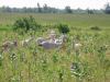 flock of goats 1.jpg - 2003:07:06 10:05:03