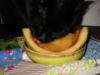 IMG_0118.JPG - 2002:04:16 18:51:34