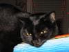 IMG_0200.JPG - 2002:01:05 19:59:49