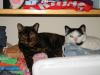 IMG_0016.JPG - 2002:04:28 16:45:14
