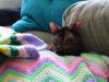 IMG_0065.JPG - 2002:06:02 16:18:30