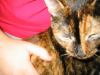 IMG_0122.JPG - 2002:04:18 21:37:11