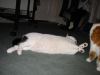 IMG_0194.JPG - 2002:01:04 21:18:05
