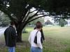 wet grass.jpg - 2002:03:02 15:03:50